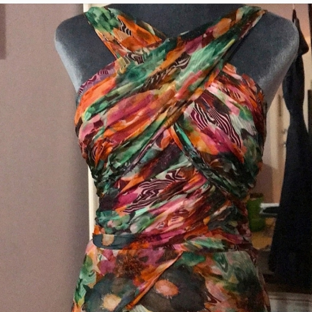 Shawn Ray Fons dress